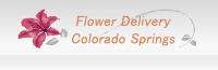 Same Day Flower Delivery Colorado Springs image 4